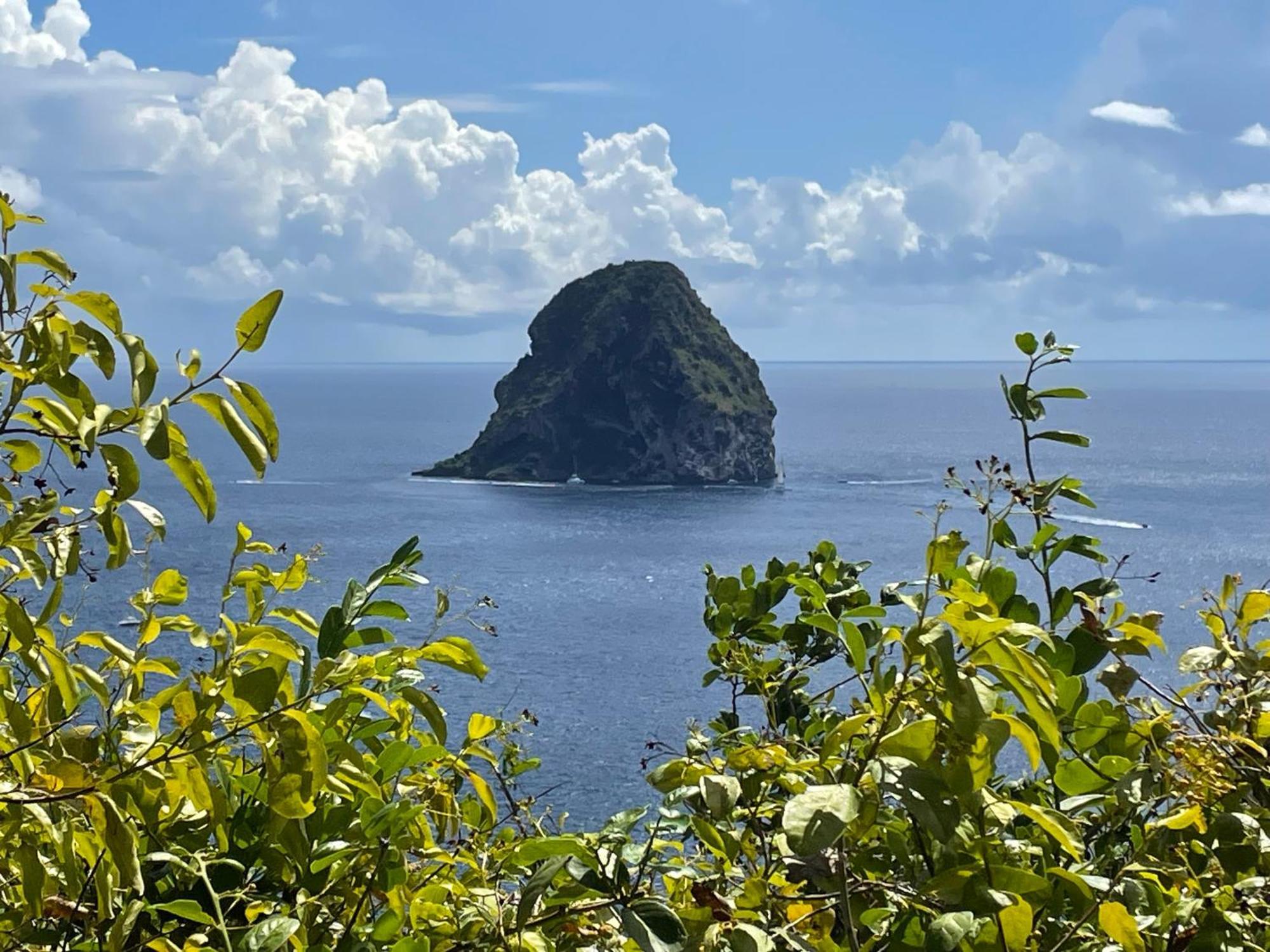 Martinique Studio Escale Diamant Εξωτερικό φωτογραφία